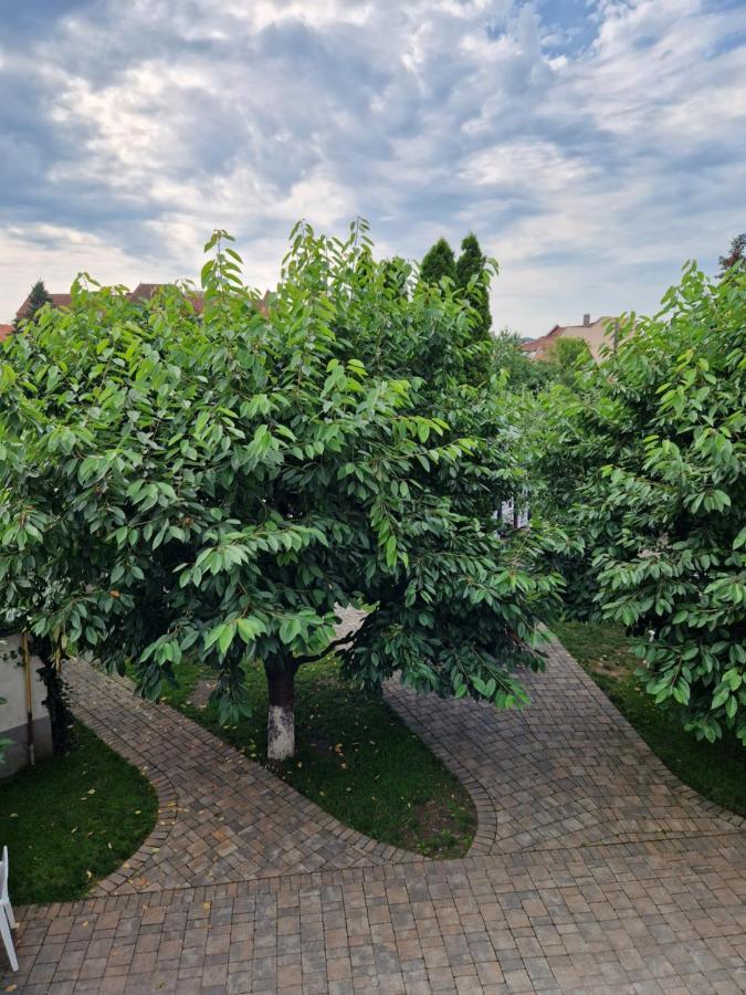 Atlantic Boutique Hotel Targu Mures Ngoại thất bức ảnh